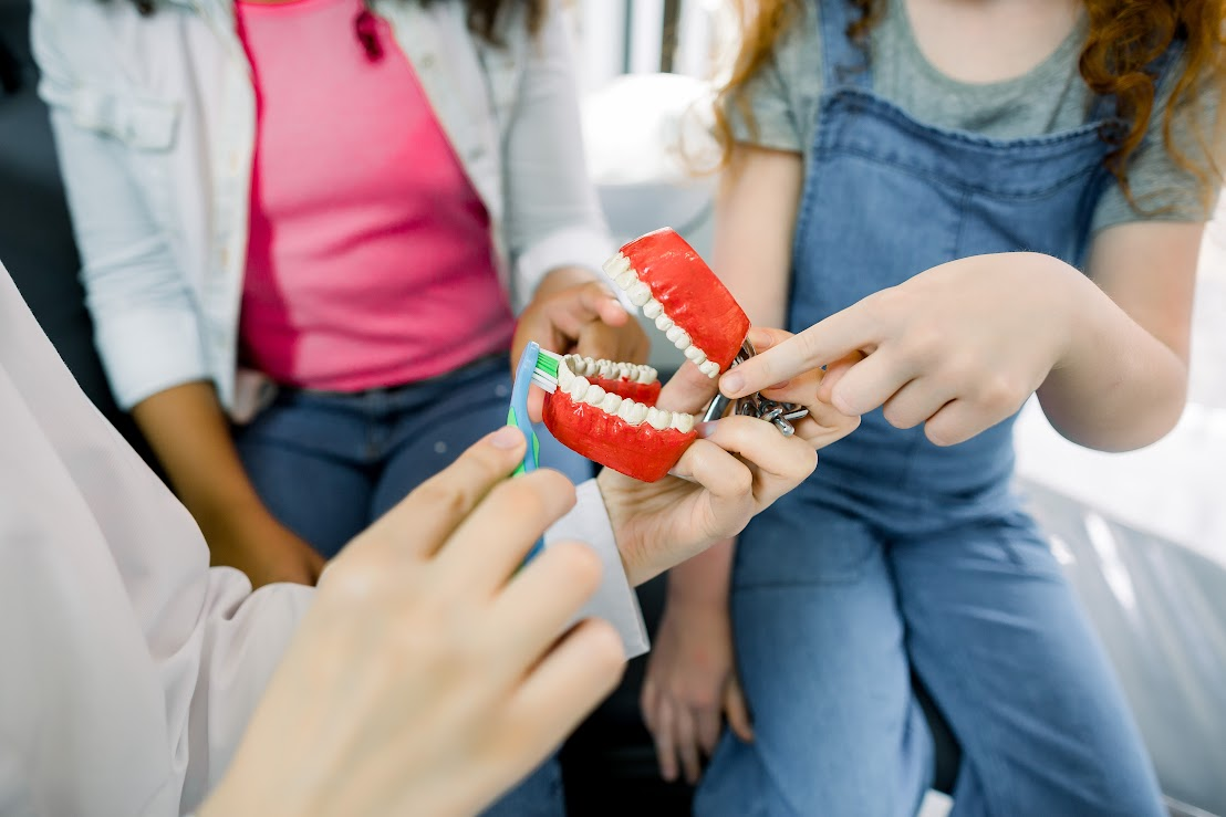 A young girl is at the dentist and is being shown how to brush their teeth with a mouth replica.